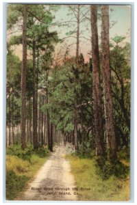 c1940 Scenic View River Road Pines Jekyl Island Georgia GA Hand-Colored Postcard