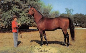 Citation Horse Racing Trotter, Unused 