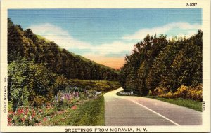 Greetings From Moravia New York NY Linen Postcard VTG UNP Curteich Vintage  