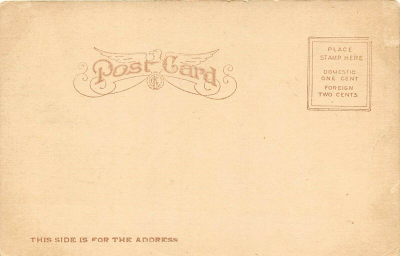 Arlington Iowa c1906 Postcard Main Street Dry Goods Store 