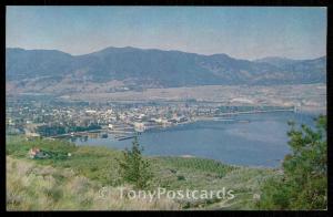 Apple Orchards at Penticton, B. C.