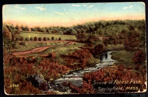 Massachusetts SPRINGFIELD Scene in Forest Park pm1913 ~ DB