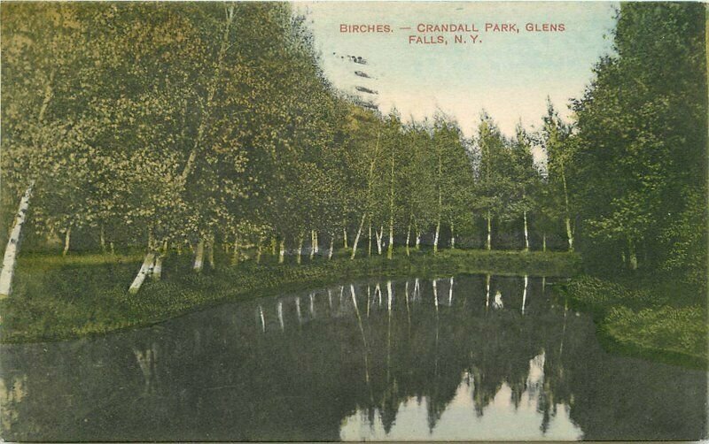 Birches Crandall Park Glens Falls New York Perks News Postcard 20-4455