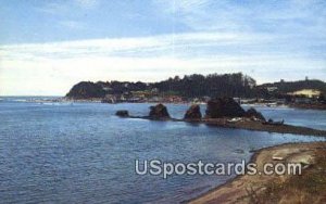 Silotz Bay - Oregon Coasts, Oregon