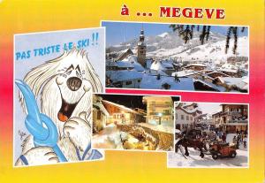 BT6451 Megeve       France