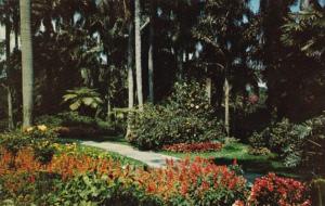 Florida St Petersburg Sunken Gardens Exotic Walkway