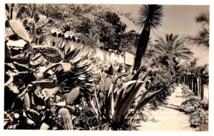 California Old San Diego Cactus Garden