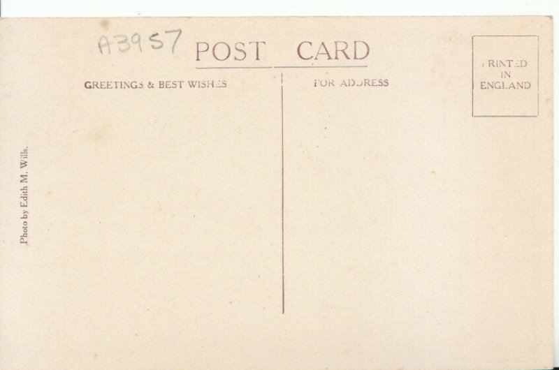 Devon Postcard - Torre Abbey and Barn from Golf Course - Torquay - Ref 19232A