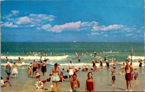 Florida Greetings From Jacksonville Beach