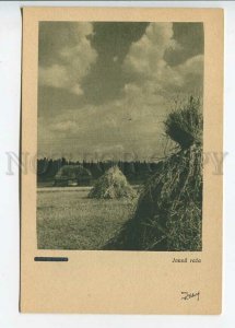 437415 Latvia New Raza haymaking Vintage postcard