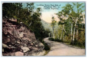 c1910s Looking Down East Side Allegheny Mts. On Lincoln Highway PA Tree Postcard