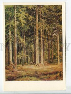 455690 USSR 1979 year painting Pskov Museum Shishkin fir forest postcard
