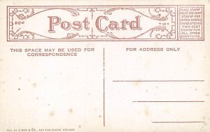 Baltimore Oriole Bird Unused 