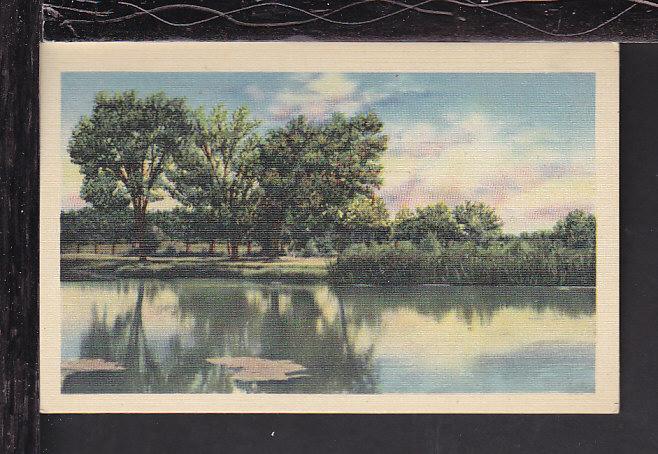 River Scene Postcard BIN 