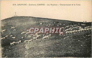 Old Postcard Dauphine Surroundings Uriage Champrouse The Sheep and Sheep Cross