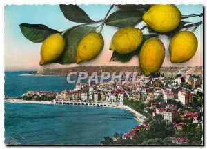 Modern Postcard The French Riviera Menton Vue generale The Lemons