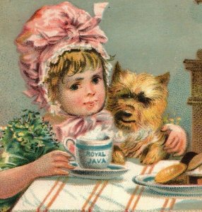 1880's Dwinell Hayward Royal Java Coffee Children Cat Dog Lot Of 5 P193 