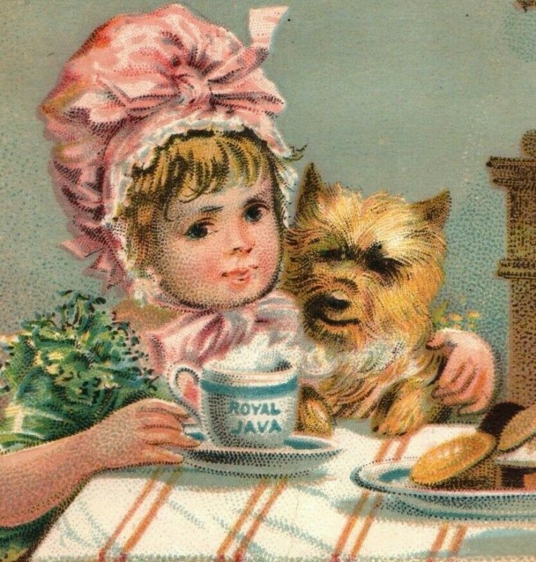 1880's Dwinell Hayward Royal Java Coffee Children Cat Dog Lot Of 5 P193 