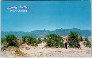 c1950s Death Valley CA Devil's Cornfield Desert Landscape Chrome Postcard