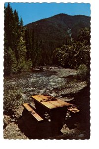 Manning Park, Picnic Table, British Columbia,