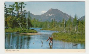 P2513, 1973 postcard fishing, netting a nice trout in northern maine