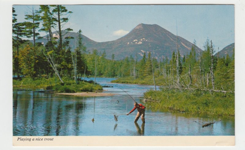 P2513, 1973 postcard fishing, netting a nice trout in northern maine