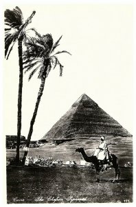 Pyramid & Palm Trees Cairo Egypt RPPC Postcard