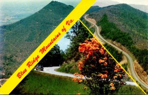 Virginia Blue Ridge Mountains Split View Showing Skyline Drive and Peaks Of O...