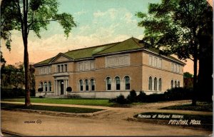 Vtg 1909 Museum of Natural History Pittsfield Massachusetts MA Antique Postcard