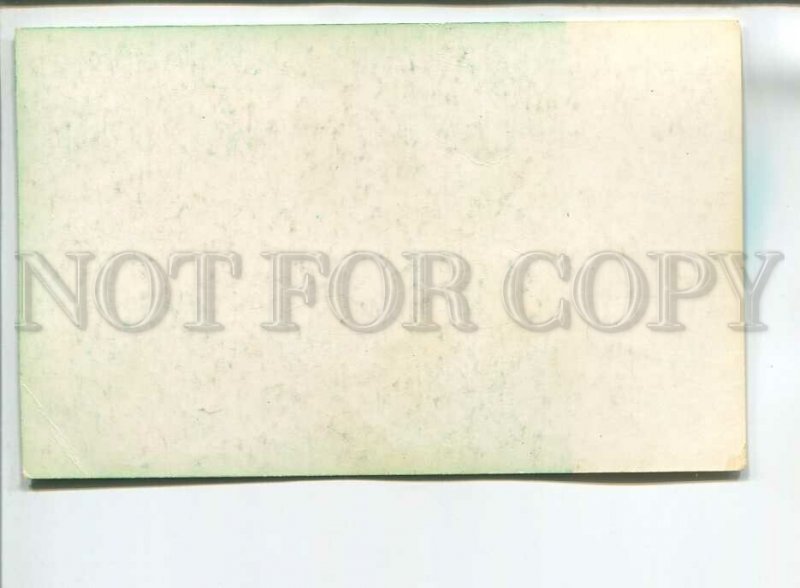 181751 Russian Borzoi by Glikman old postcard