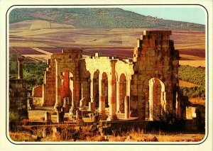 CPM AK Volubilis- Basilique et le capitol MAROC (881238)