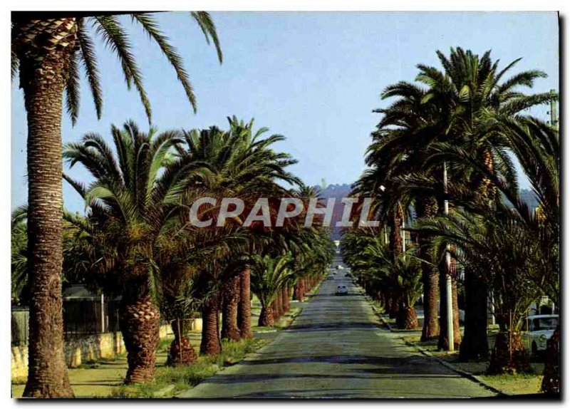 Modern Postcard Hyeres Les Palmiers Avenue Alexis Godillot