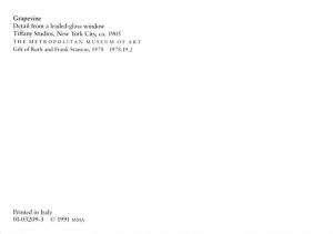 Grapevine Window - New York City