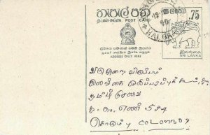 Entier Postal Stationery Postal Sri Lanka Ceylon Lion