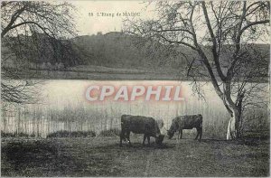 Old Postcard L Etang Madic Cows