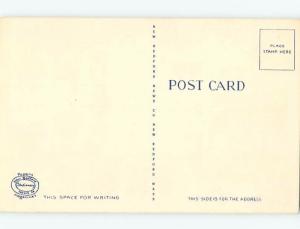 Linen BIG LETTERS Cape Cod Massachusetts MA ho7089