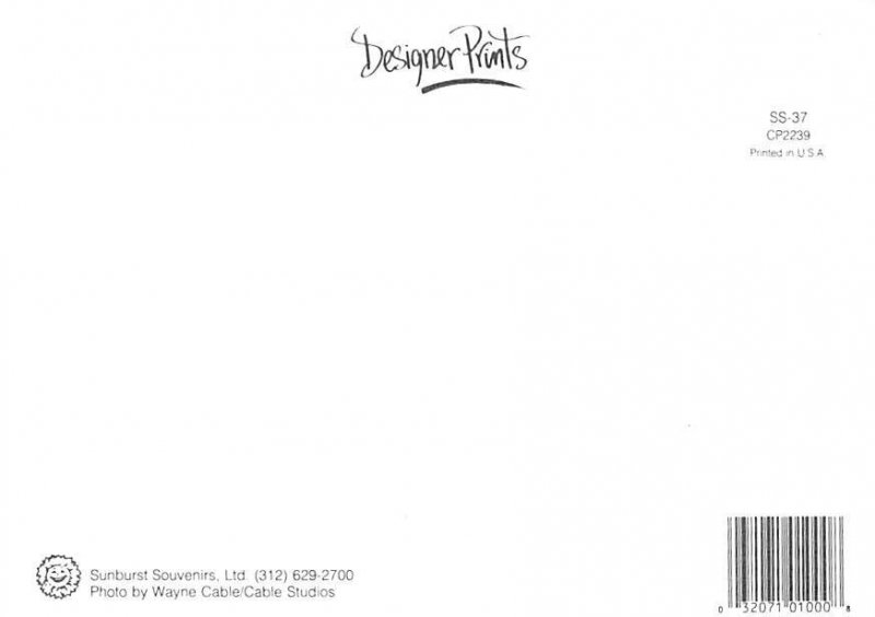 Chicago   Illinois, USA 