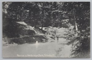 Ohio~Toledo~Ravine~Footbridge~Walbridge Park~B&W~Rotograph~Vintage UDB Postcard 