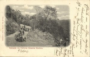 brazil, SILVEIRA MARTINS, Estrada na Colonia (1902) Postcard