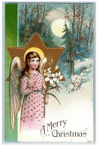 1909 Merry Christmas Angel Flowers Winter Moon View Chicago Illinois IL Postcard