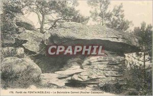 Postcard Old Forest of Fontainebleau Belvedere Carnot (Rock Cassepot)