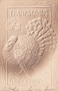 Thanksgiving Greetings With Turkey 1908 Embossed