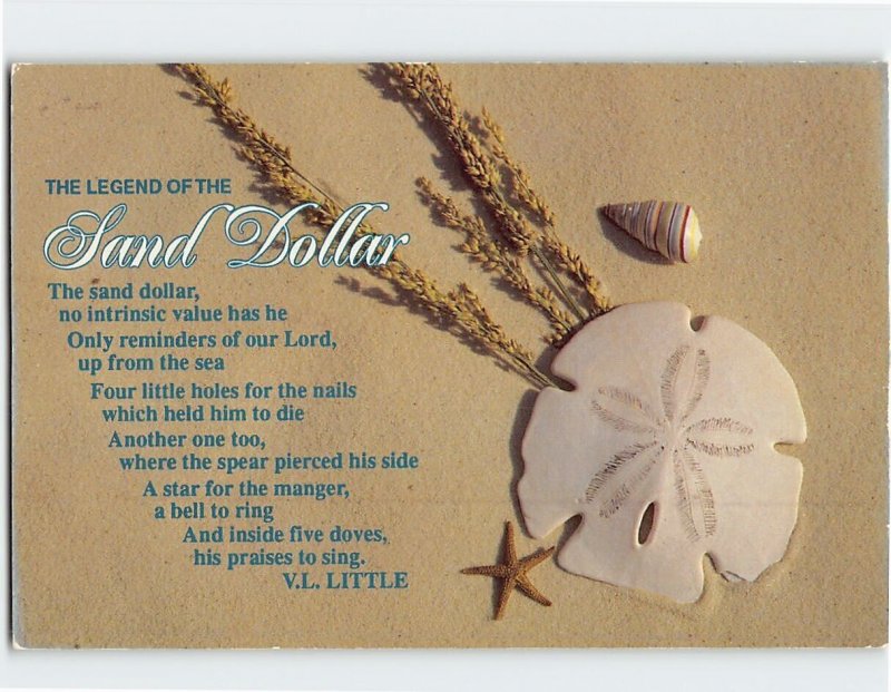 Postcard The Legend Of The Sand Dollar
