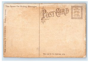 C1910 Columbus Ave Sandusky Ohio Postcard F35E