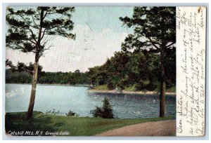 1905 Catskill Mountains Greens Lake Shore Forest New York NY Posted Postcard 