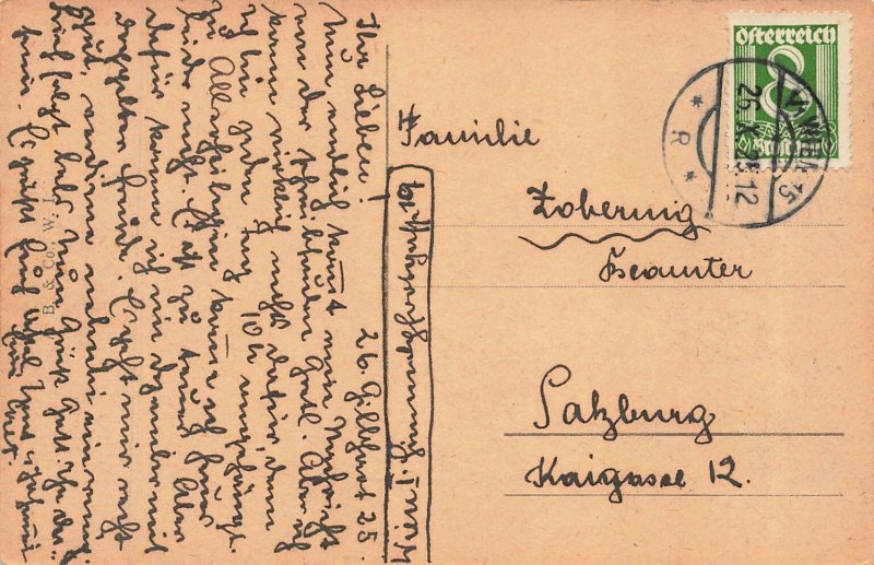 Wien Vienna Austria~Hofburg Palace 1925 Postcard