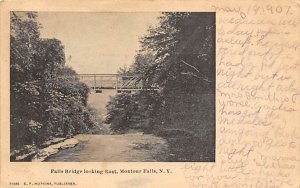 Falls Bridge Montour Falls, New York NY