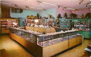 1950s San Francisco California Sea Captains Chest Roberts Postcard 8828