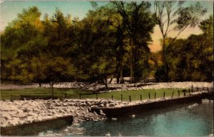 Brubaker Bros. Ducks at Water Cress, Stevens House Lancaster PA Postcard I32