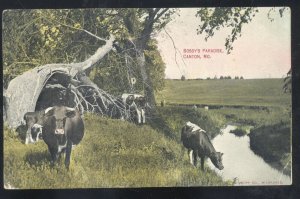 CANTON MISSOURI BOSSY'S PARADISE COWS CATTLE IN WATER VINTAGE POSTCARD